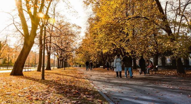 gdzie i jak randkują warszawiacy?